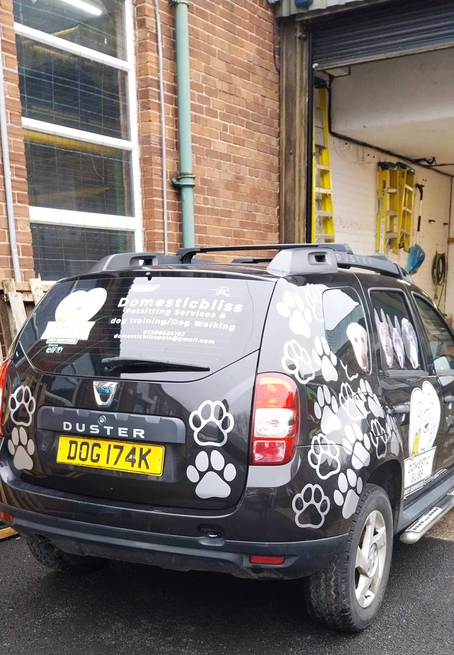 Dog relaxing at home