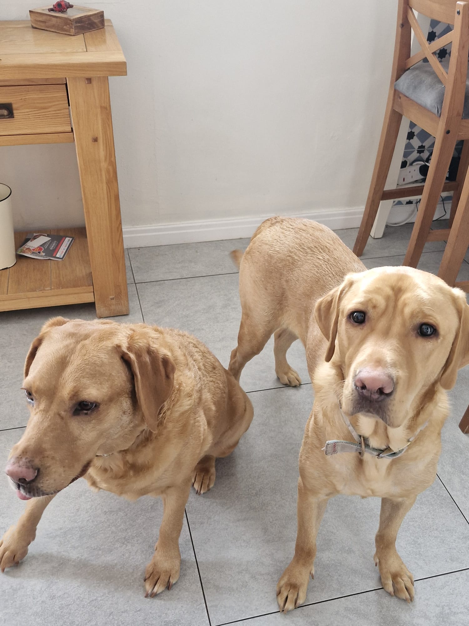 Positive reinforcement